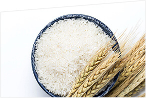 Rice